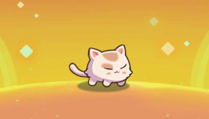 Snow Kitten - Legend of Mushroom