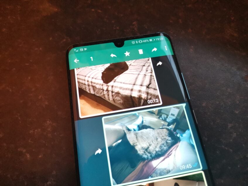 How To Use Whatsapp: A Guide For Seniors 4
