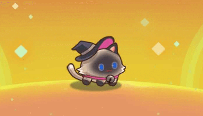 Wizard Cat - Legend of Mushroom