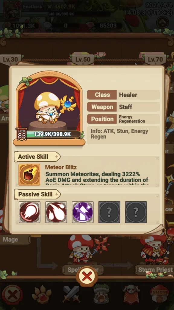 The Healer in Legend of Mushroom.