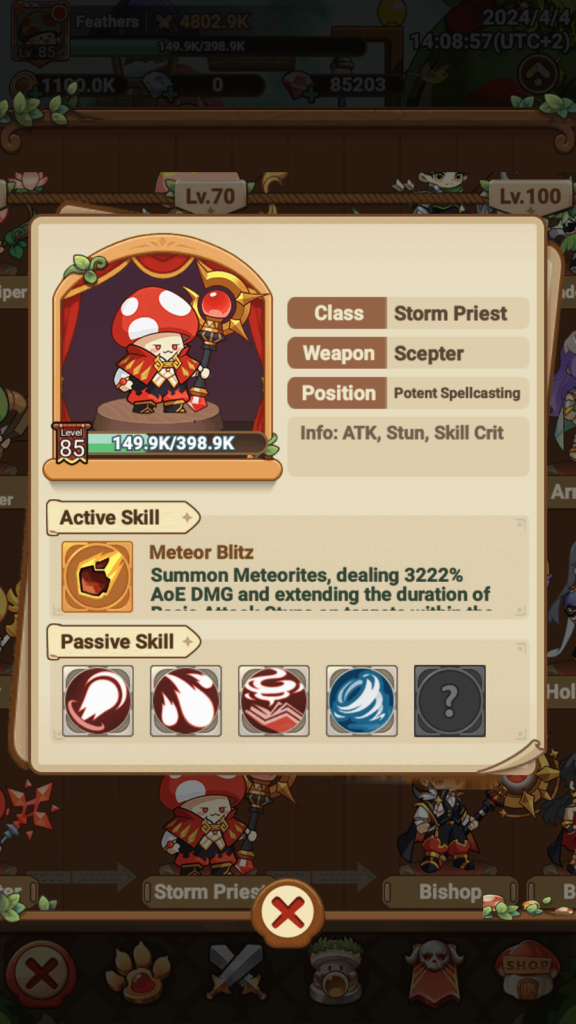 The Storm Priest in Legend of Mushroom.