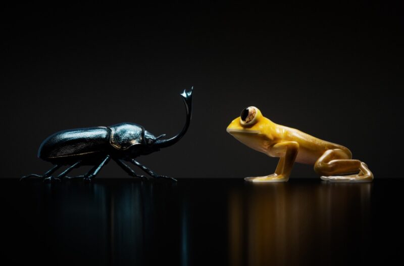 Nothing Play Date featured image