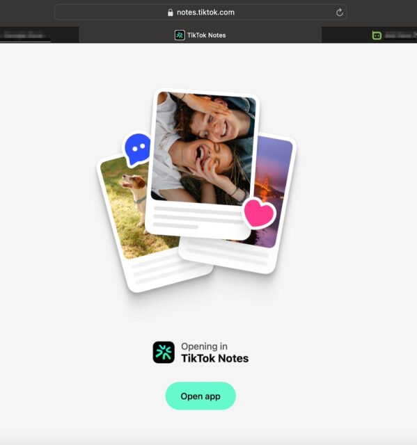 TikTok Notes website