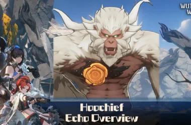 Hoochief Echo Overview (Featured Image) - Wuthering Waves