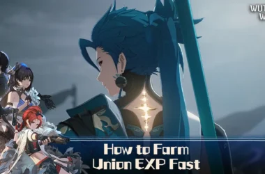 How to Farm Union EXP Fast (FI) - Wuthering Waves