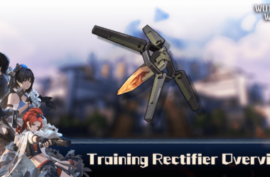 Wuthering Waves - Training Rectifier Feature