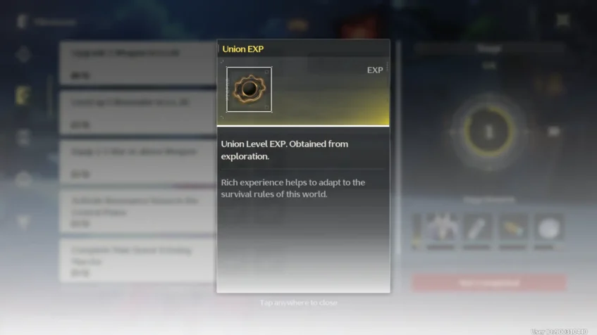 Union EXP Item Description - Wuthering Waves