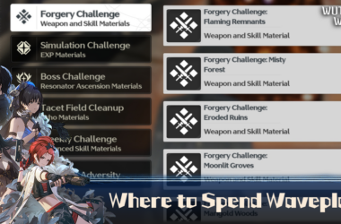Where to Spend Waveplates - Wuthering Waves