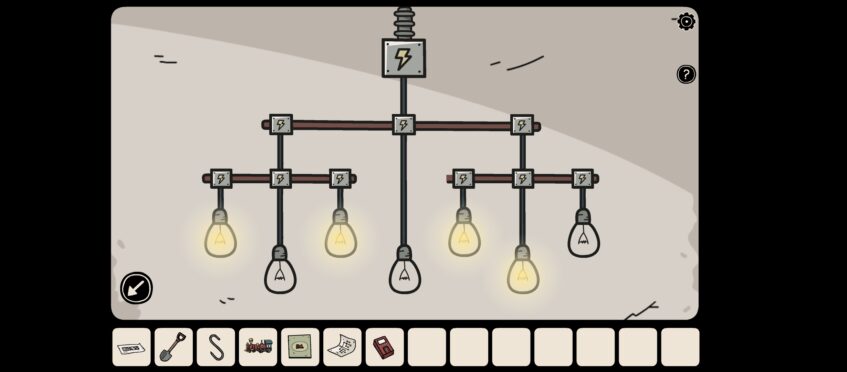 bulbs 