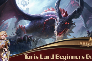 Tarisland Beginners guide