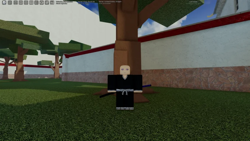 Unlock Bankai - Type Soul