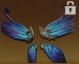 Wings of Luen flying mount - Tarisland