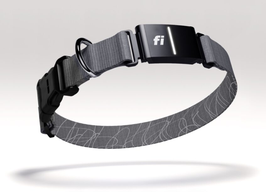Fi Series 3 smart dog collar