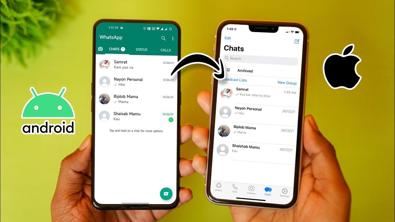 transfer whatsapp business