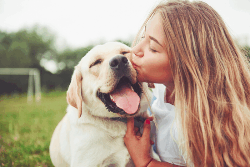 Google Translate is getting closer to understanding animal language 4
