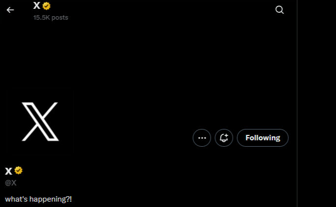 X (formerly Twitter)