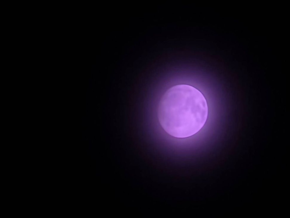 Purple moon shown on black background