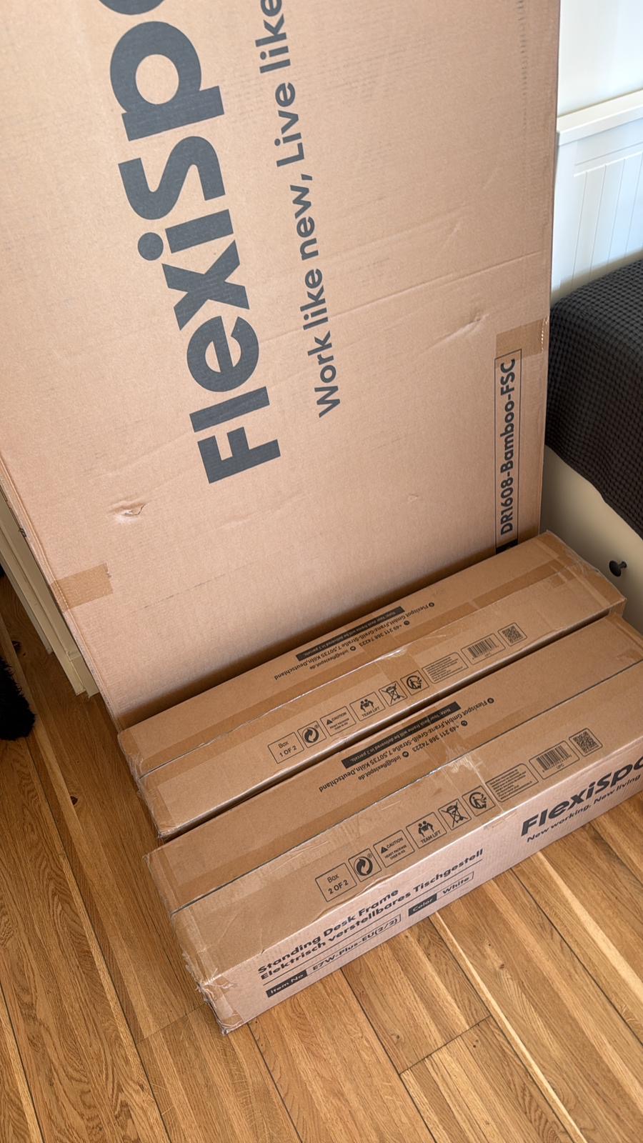 I Try the Flexispot E7 Plus Four-Legged Standing Desk: WOW! 6