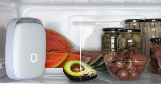 Cut Food Waste: Shelfy Fridge Purifier Half Price in Amazon Prime Deal 4