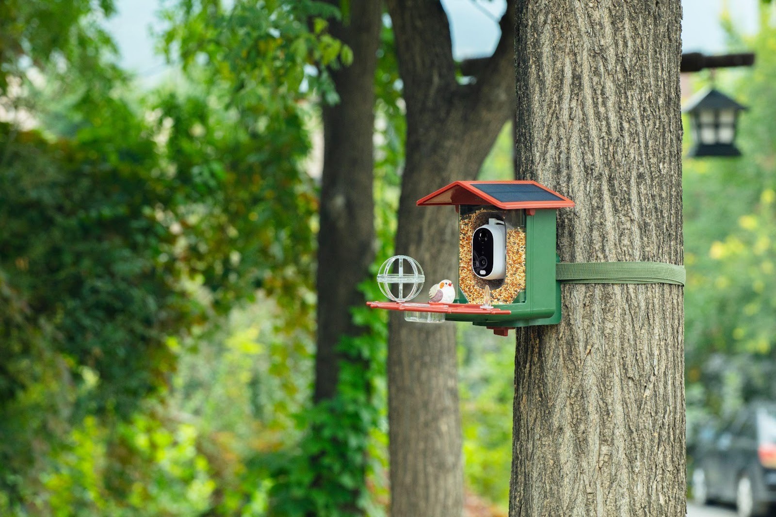 A Family Gift That Brings Nature, Tech, and Quiet Moments Together 4