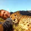 "I woke up and saw a cheetah sleeping against me": The extraordinary encounter that stunned a wildlife photographer 2