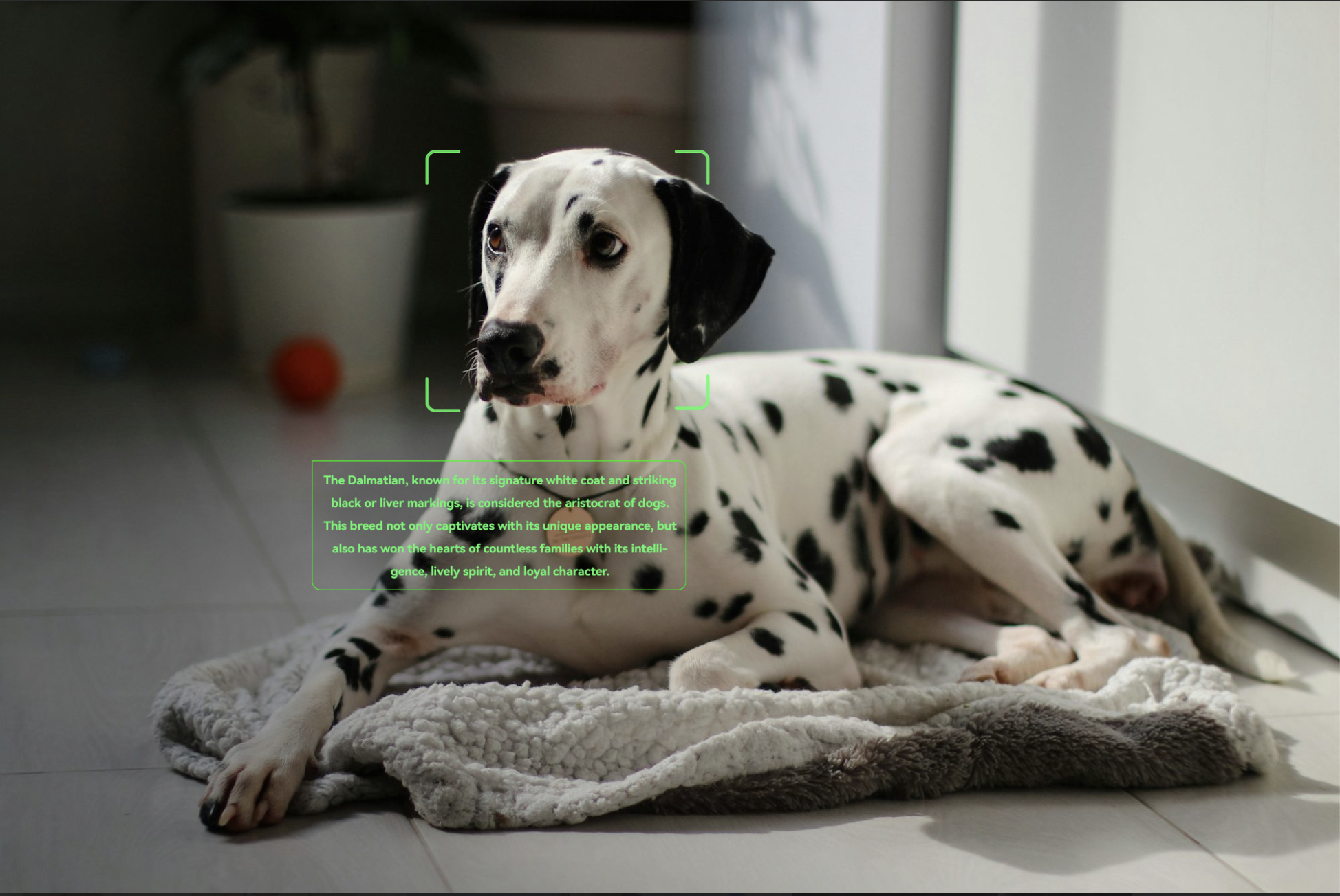 Rokid’s AI Glasses Show Smart Eyewear Is Getting Serious 6