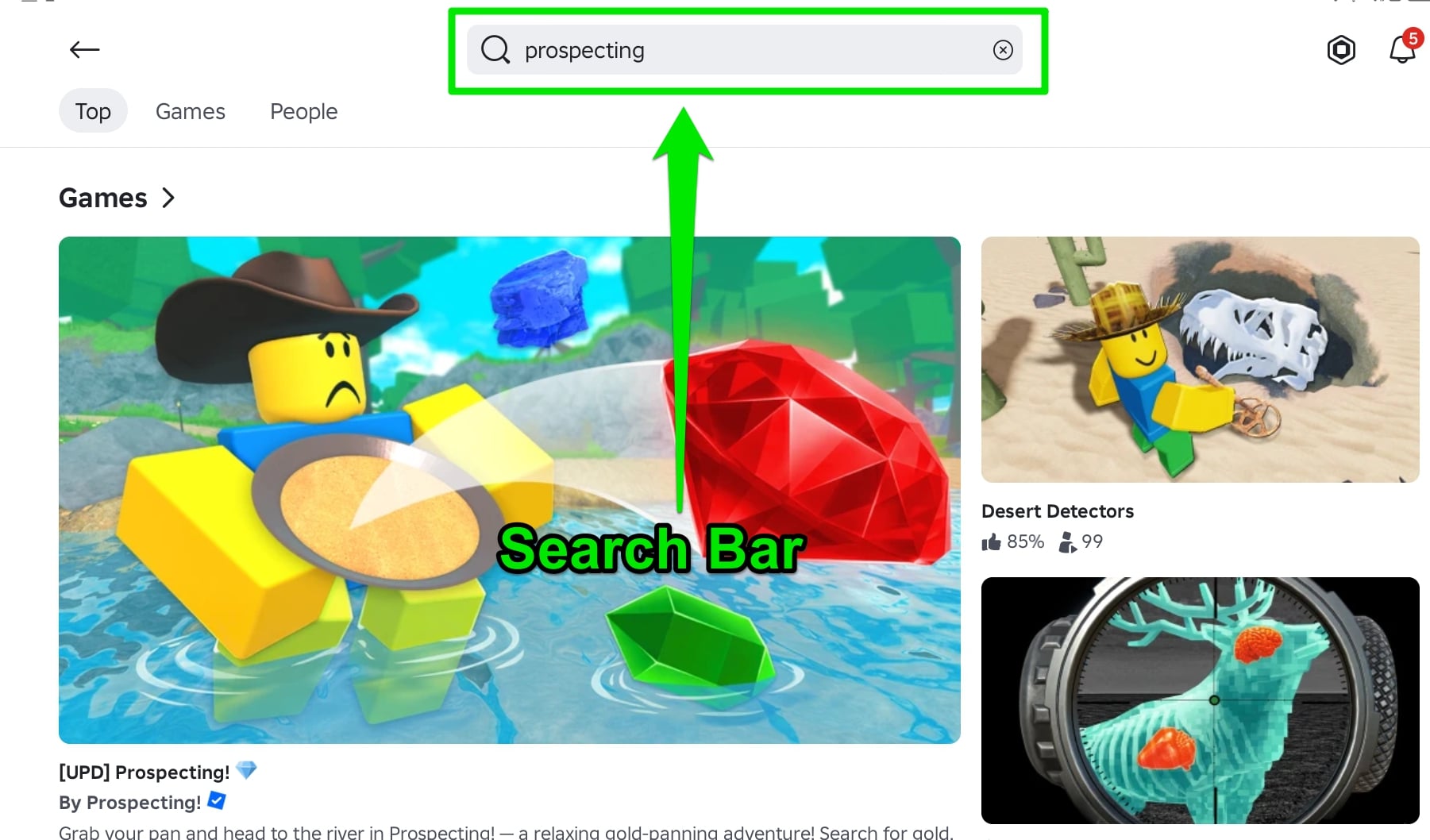 Search Bar