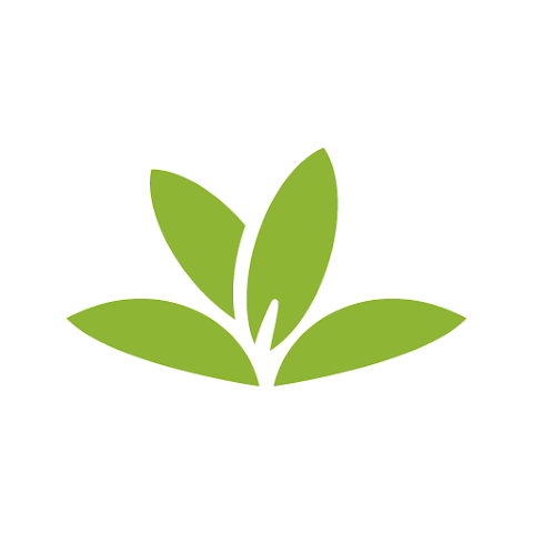 5 Best Plant Identification App Options for Android Users 5