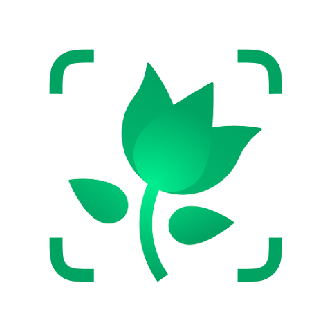 5 Best Plant Identification App Options for Android Users 6