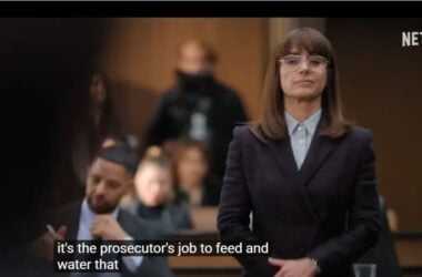 THE LINCOLN LAWYER