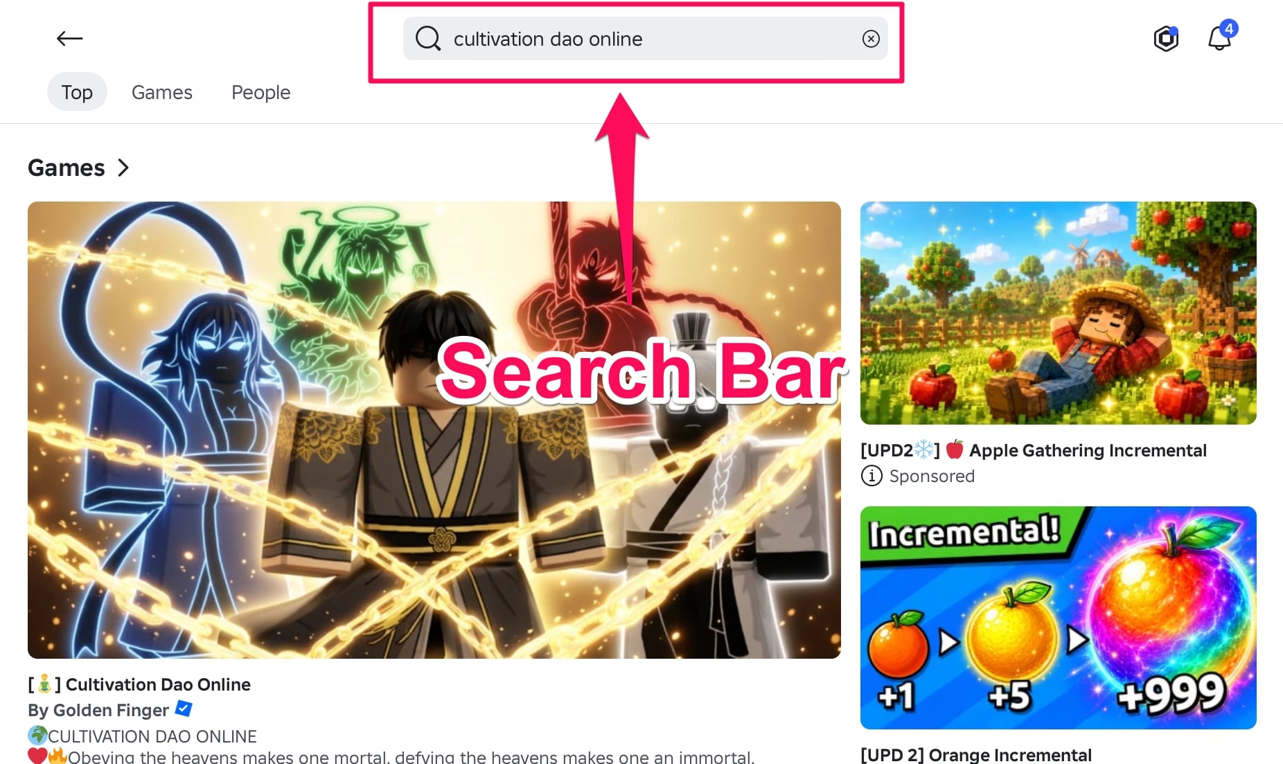 Search Bar