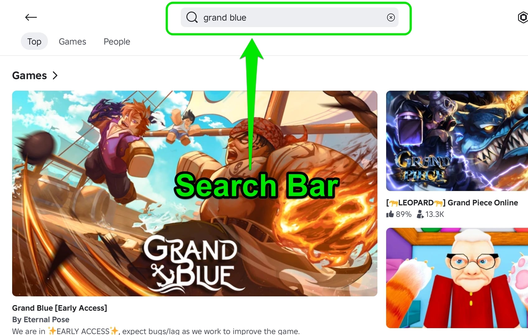 Search Bar