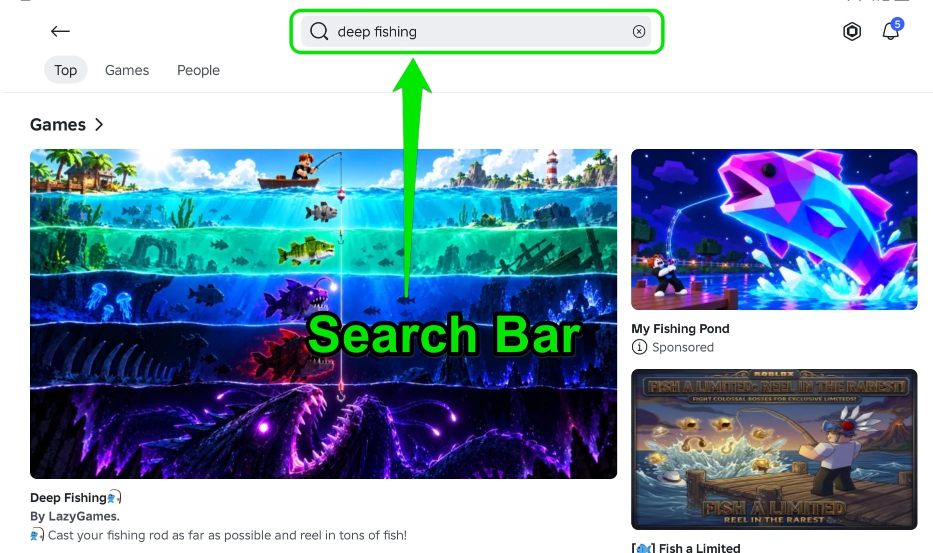 Search Bar