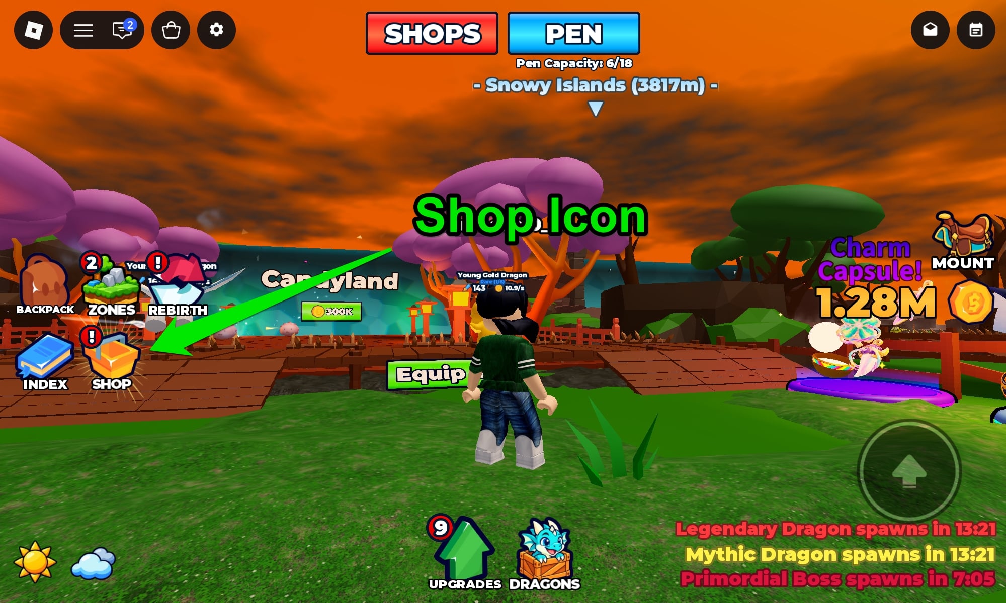 Shop Icon