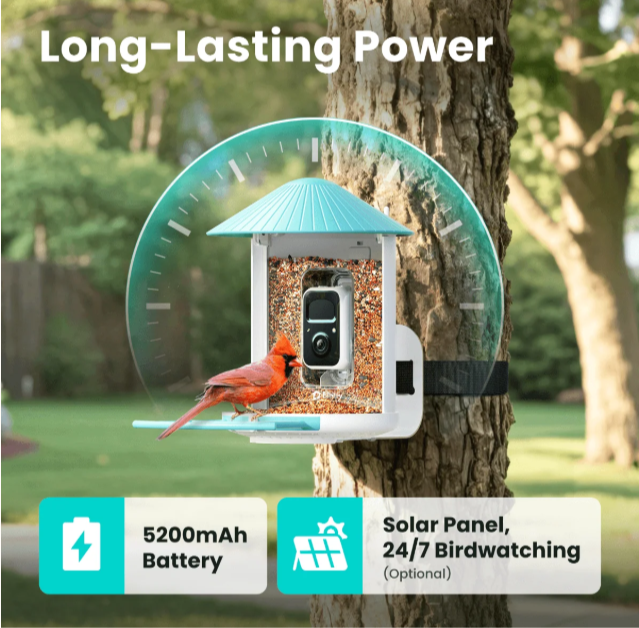 Best Android-Friendly Smart Bird Feeder for 2026: How Birdfy Turns Your Phone into a Real-Time Birdwatching Station 3