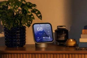 A user's HomeView sits on their living room countertop.
